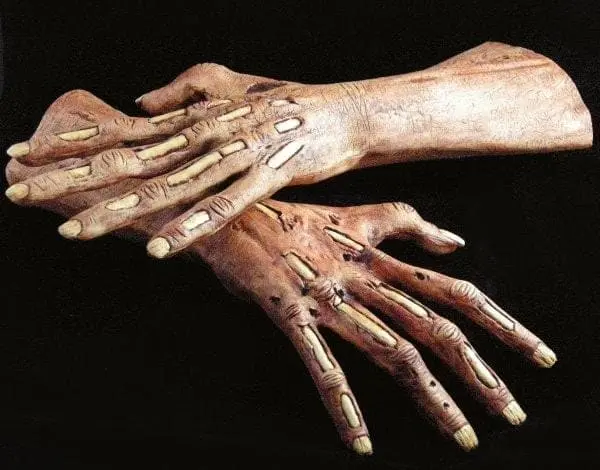 The Horror Dome "Zombie Latex Hands" Halloween Costume Gloves 4 The Horror Dome "Zombie Latex Hands" Halloween Costume Gloves - Image 2