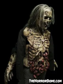 The Horror Dome "Zombie Lurker" HD Studios Pro Costume