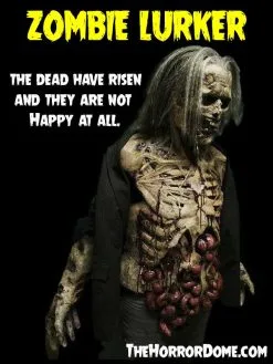 The Horror Dome "Zombies" HD Studios Pro Costumes - 3x Package Deal -Halloween Horror Decorations Shop zombies hd studios pro halloween costumes 3x package deal 14334963154992